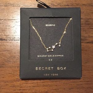 Scorpio necklace